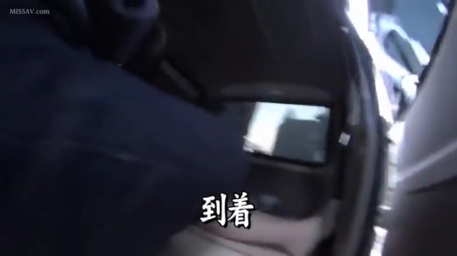 中文字幕 · 深色外套 · 汽车内部 · 后座空间特写