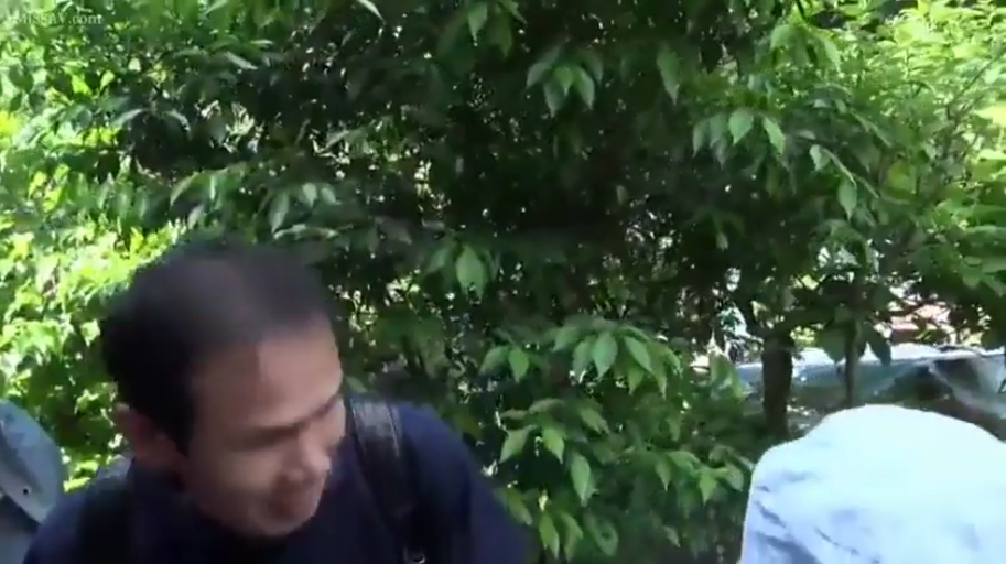 树林 · 光线充足 · 深色上衣 · 男人面带笑容
