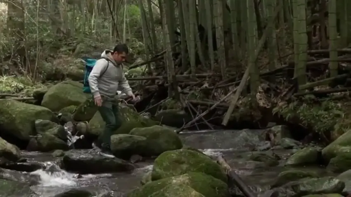 平静 · 背包 · 运动鞋 · 竹林 · 自然环境 · 中景镜头