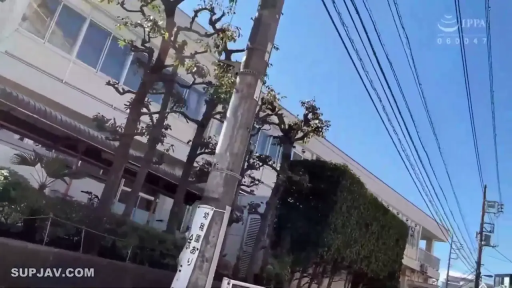 校园外 · 晴天