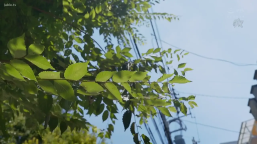 室内 · 项链 · 面部特写 · 俯视 · 观看 · 紫色条纹衫 · 担忧专注 · 剧情近景