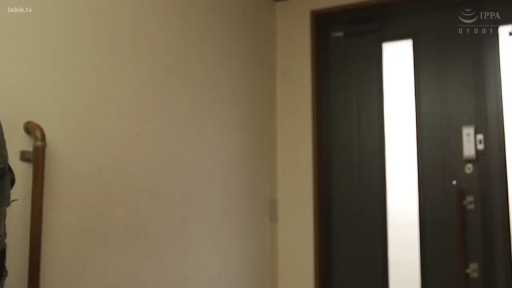 住宅 · IPPA标志 · 深色衣物