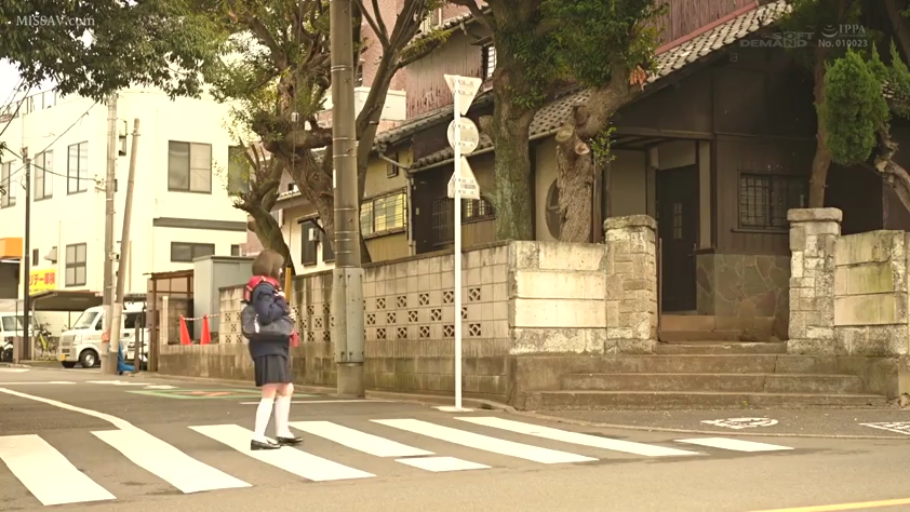 制服 · 远景 · 街道 · 行走 · 过马路