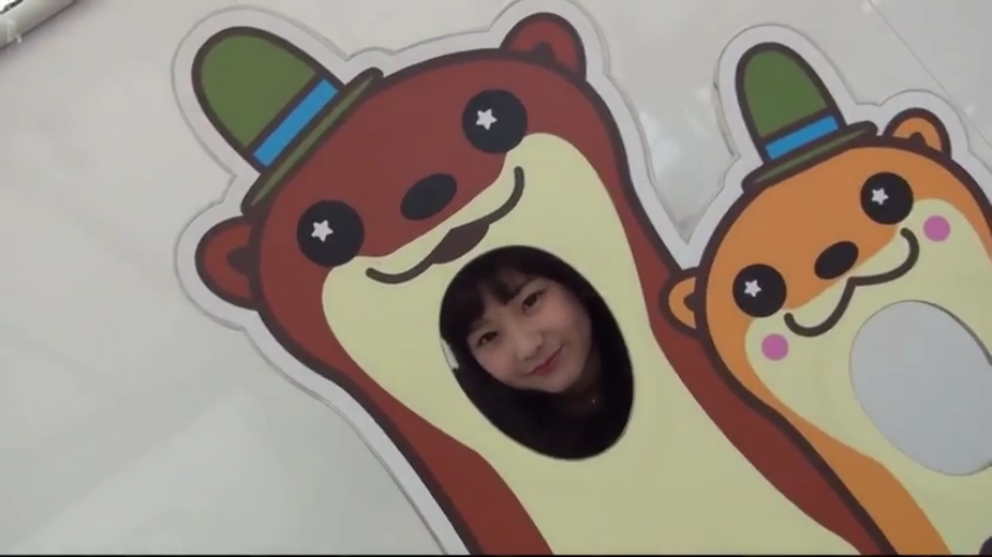 脸部 · 微笑 · 户外 · 不详 · 探头 · 摆姿势 · 人形立牌 · 卡通图案