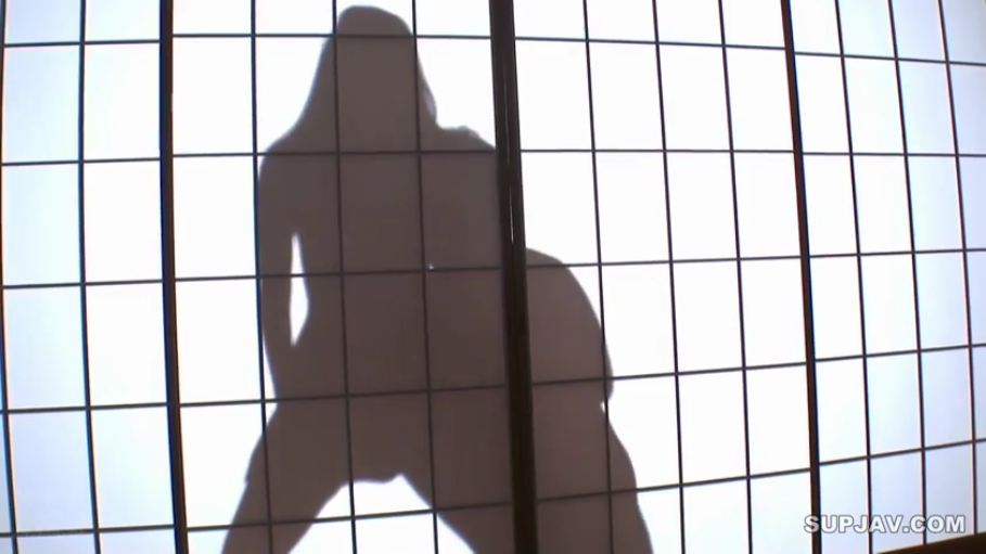 性交 · 全裸 · 和室 · 全景 · 跨坐 · 剪影 · 障子 · 无法辨认