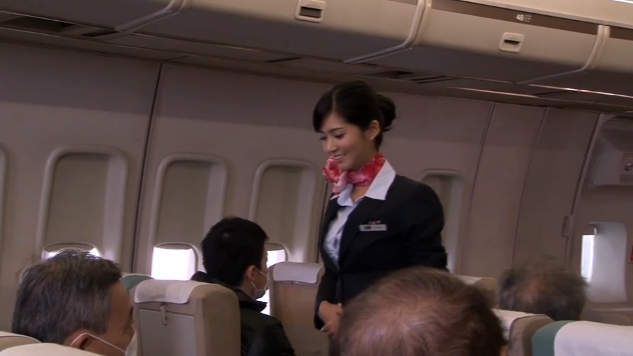 站立 · 中景 · 微笑 · 制服诱惑 · 飞机客舱 · 服务 · 丝巾 · 空姐制服