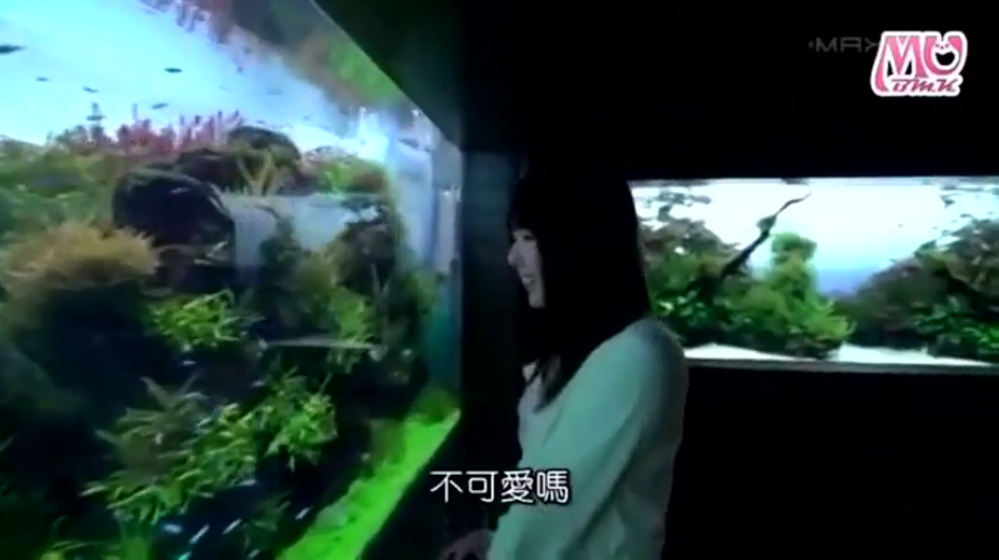温柔 · 水族馆 · 浅色上衣 · 侧面脸部特写