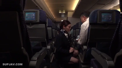 顺从 · 空姐制服 · 飞机客舱 · 口交预备动作 · 衬衫 · 空姐侧面全身 · 幽暗机舱