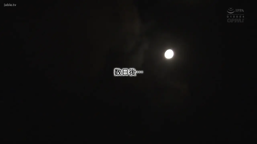 户外夜景 · 剧情过渡字幕
