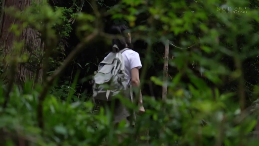 白色T恤 · 森林