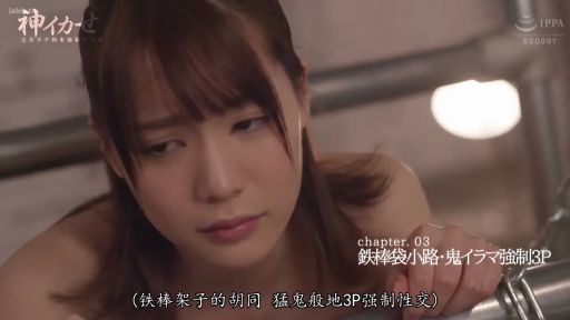 顔のクローズアップ · 裸体 · 无奈 · 金属架 · 胡同 · IPPA标识