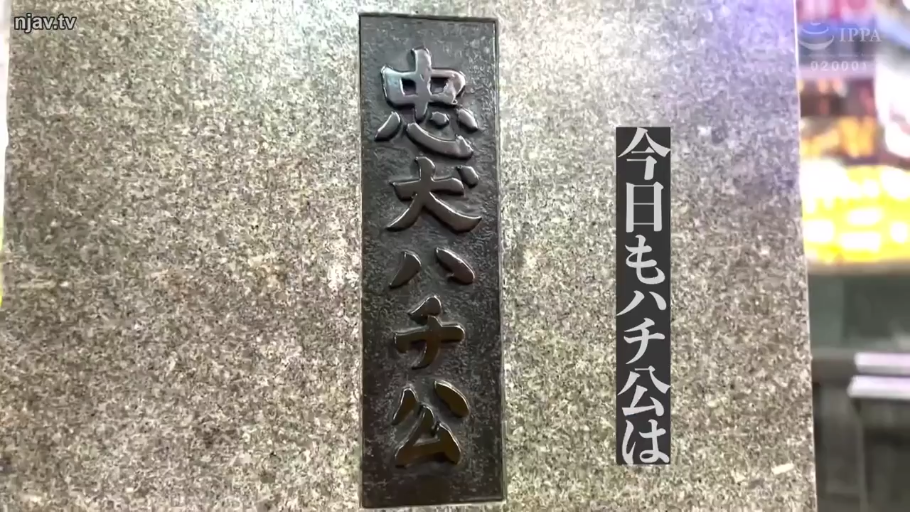 户外 · 文字特写 · 日文 · 石碑